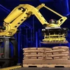 Hot sale customized automatic robotic palletizer