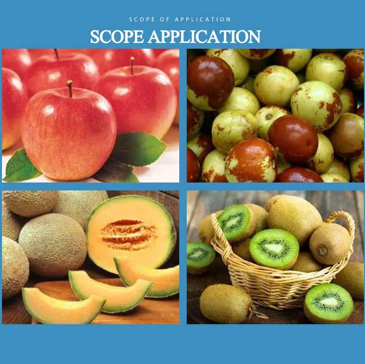 Fruit Vegetables Chips Vacuum Puffing Drying Machine Fruit Chips Production Line supplier