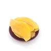 /product-detail/ttn-new-drop-dried-mango-pulp-fruit-with-dry-mango-price-60642732411.html