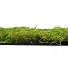 Landscape Sale Sunwing New Style Green Plants In Plastic Landscape Moss Panel For Sale