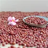 /product-detail/adzuki-beans-small-red-bean-red-bamboo-beanfor-exporting-62263144960.html
