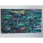 Abalone Shell Shellshell HCX013 Black Abalone Japanese Abalone Shell Paper