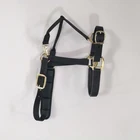 Horse Plain Padded Horse Head Collar