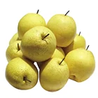 Pear Pears Pear Chinese/China Fresh Pear Ya/Golden Pears