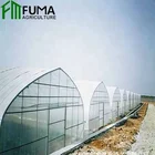 FM Multi-span Agriculture Plastic Film Vegetable Greenhouse
