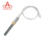 Ignition Fireplace 12v 230v 300w Pellet Grill Ceramic Igniter Ignition For Stove Fireplace Radiator Cartridge Heater