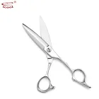 IC-60 Hair Barber Scissors Hair Cutting Shears for Beauty Salon