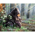 shenzhen high quality premium lovely forest bear abstract art for DECOR HOME DECOR