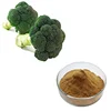 HONGDA Factory Supply Natural Broccoli Powder Broccoli Extract Sulforaphane