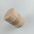 Sticks Wooden Stick Free Sample Factory Price Eco Friendly Disposable Wooden Ice Lolly Sticks