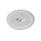Ceiling Light 24W RGB Color Indoor Ceiling Lamp Living Room Remote Control LED Ceiling Light