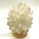 Factory customized high quality natural clear crystal cluster quartz table led lamp for home decoration