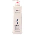 Anti-Dandruff Vitality Movement Smooth Oil Control Itching Lasting Fragrance Shampoo
