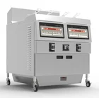 Gas power source Fast food equipments with double tank large capacity gas deep fryer ofg-322
