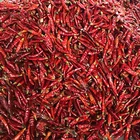 Wholesale Dry Pepper Red hot Chilli