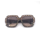China Popular Attractive Price Customized Brand Goggles Sunglass Sun Glasses Color