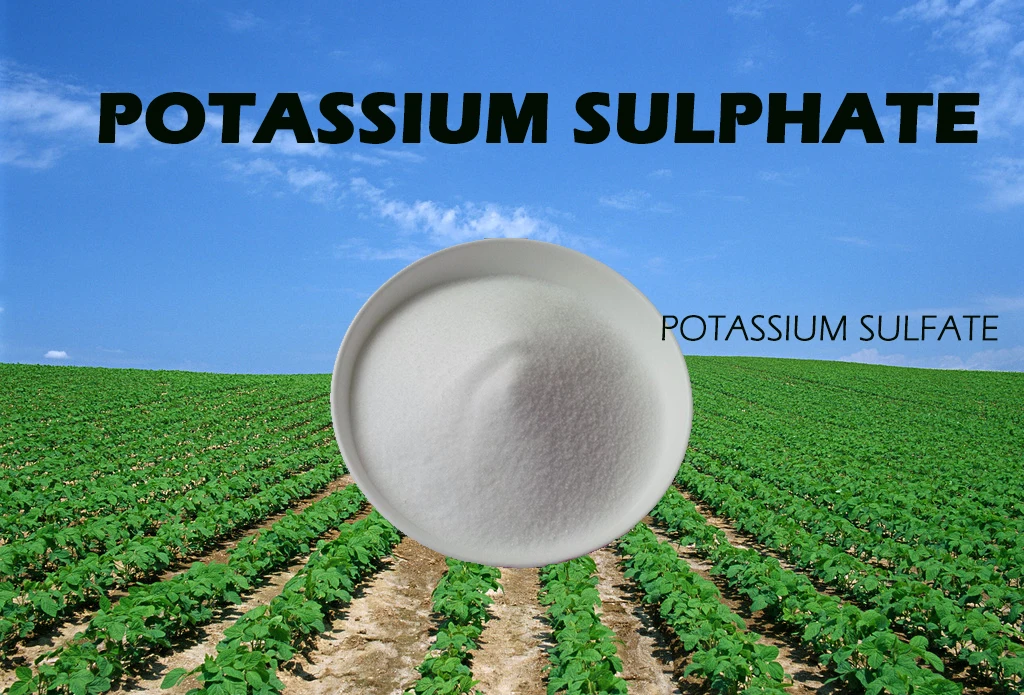 potassium sulphate-page4.jpg