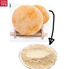 Wild Air dried lion's mane mushroom /hericium erinaceus mushroom