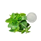 Natural Sweetener 80%- 90% Steviosides Stevia Extract