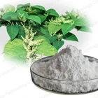 Bulk sale Resveratrol product Japanese Knotweed extract powder