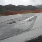 HDPE geomembrane shrimp tank pool liners