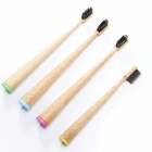 Free Sample Conic Bamboo Toothbrush Kit