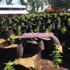 In Stock.5Packs Of 15 Gallons Garden Grow Bags Nonwoven Plant Fabric Pots With Handle
