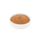 Natual Anti-biotic and anti-virus Cactus extract plant powder nopal cactus powder