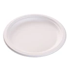 Disposable Biodegradable Round Birthday Cake Dinner Paper Plates safe and odorless birthday party wedding party