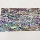 2020 Natural abalone softened sea shell art sticker sheets mosaic