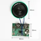 Factory Wholesale Sound Recording Module for Greeting Card