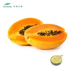 100% natural Fermented papaya powder extract Papaya Fruit Powder