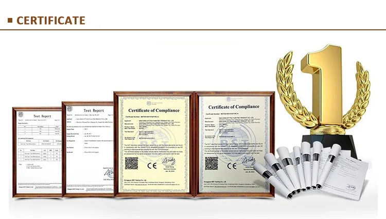 certificate - .jpg