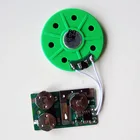 Recordable Sound Chip/Custom Voice Module