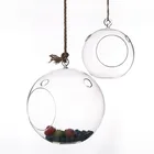 wholesale hanging glass ball terrarium vase