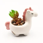 Most popular unicorn succulent plants flower pot