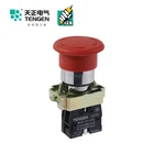 TENGEN LAY5-BE101 classic type Push Button Switch for electrical appliances