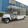 Chinese truck manufacturer new model golf cart type electric cargo van