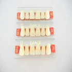 Dental Supplies Composite Denture Teeth synthetic resin teeth