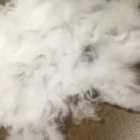 High quality hollow conjugated polyester staple fiber virgin with good prices