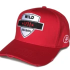 Fashion Custom Promotion Caps Embroidery Sports Baseball Caps hats