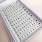 eyelash extensions volume private label trays cils extensions