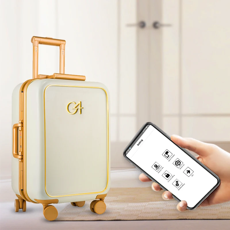 smart luggage price