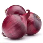 Market Price High Quality Fresh Onion 6-8cm Round Red Onion