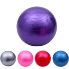 45cm/55cm/65cm/75cm/90cm Anti-burst frosting type Stability Gymnastic Yoga Exercise Ball with air pump