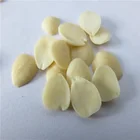 Blanched Debittered Apricot Kernels for apricot kernel meal
