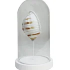 Large Glass Display Dome With Conch For Home Decoration
