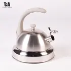Tea Kettle Carbon Black Green White Blue Enamel Metal Oem Customized Steel Box Stainless Toxic Logo