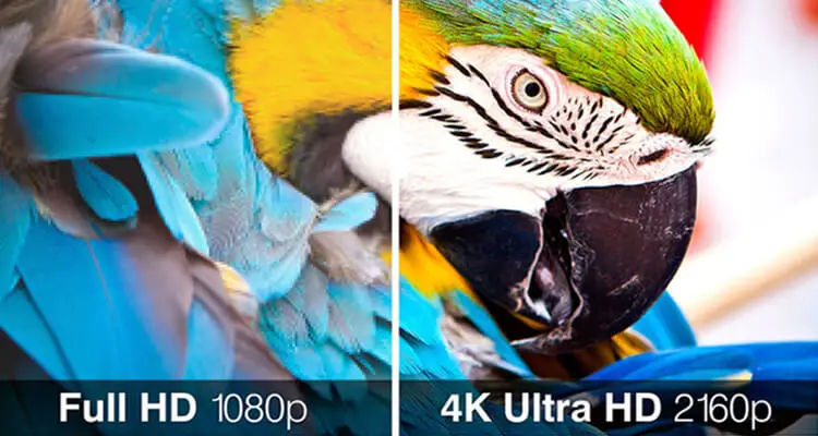 ultra 4k hd resolution ip network camera