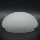 crystal glass s vintagefrosted slamp shade